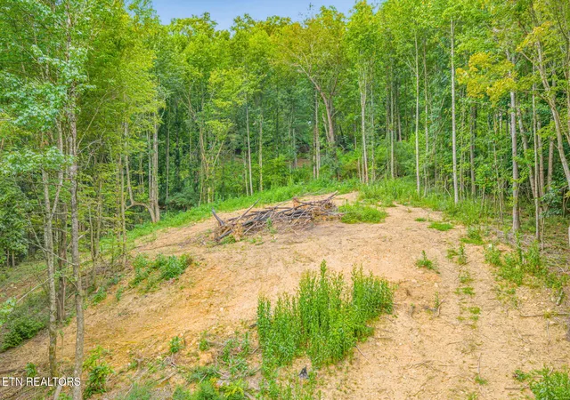 4th image of 630 Circle Dr, Harriman, TN 37748 | MLS# 1352583