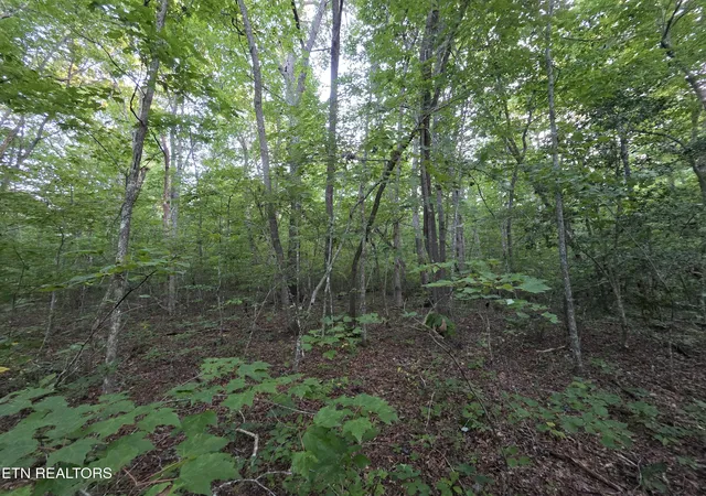 11th image of 14 Pond Rd, Monterey, TN 38574 | MLS# 1352681