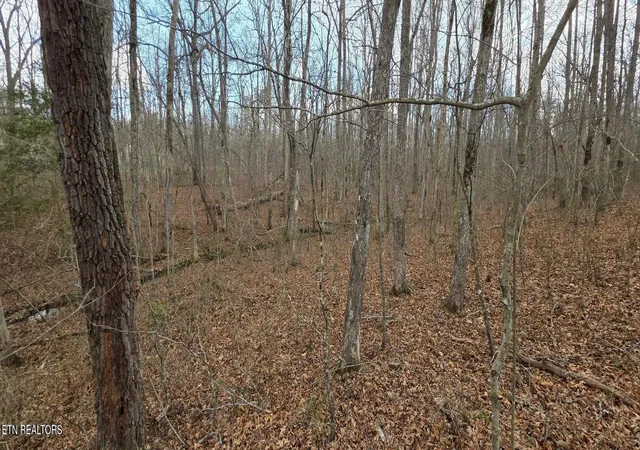 1st image of 14 Pond Rd, Monterey, TN 38574 | MLS# 1352681