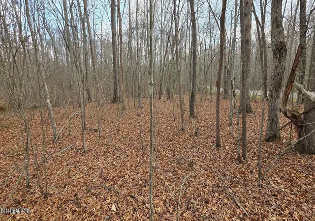 2nd image of 14 Pond Rd, Monterey, TN 38574 | MLS# 1352681