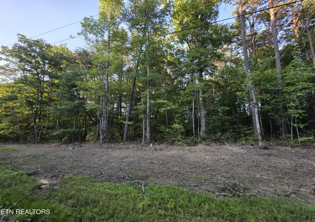 23rd image of 15 Austin Dr, Monterey, TN 38574 | MLS# 1352753