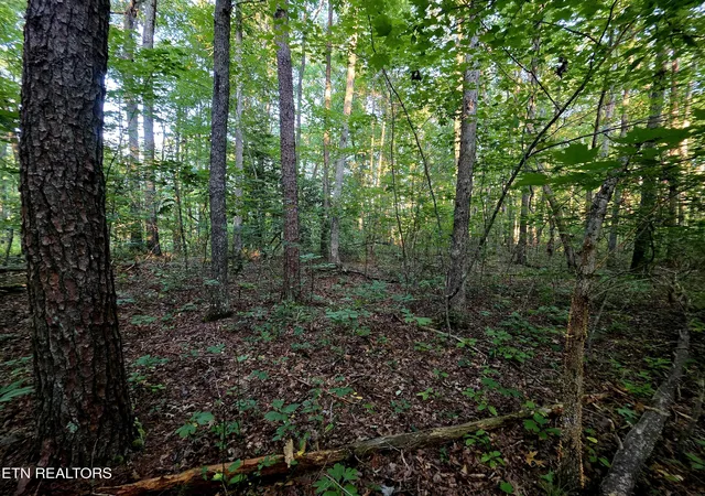 Photo 3 of Sale Pending at 15 Austin Dr, Monterey, TN 38574 | MLS# 1352753 | Listing updated on 2026-09-17