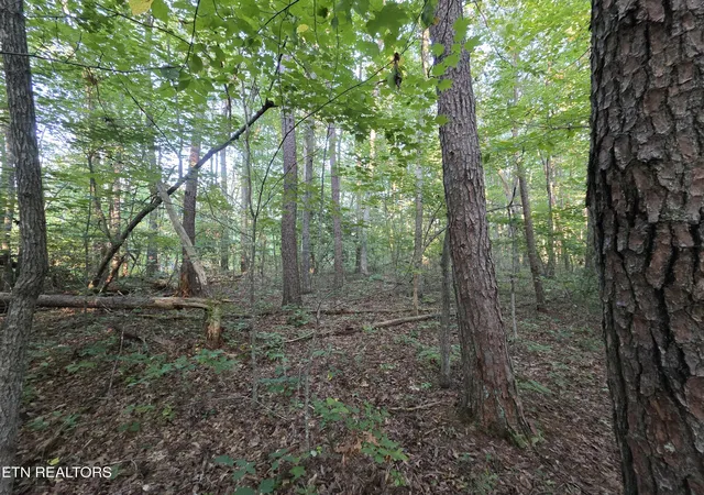 Photo 3 of Sale Pending at 15 Austin Dr, Monterey, TN 38574 | MLS# 1352753 | Listing updated on 2026-09-29