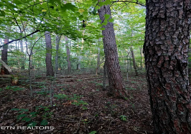 Photo 4 of Sale Pending at 15 Austin Dr, Monterey, TN 38574 | MLS# 1352753 | Listing updated on 2026-09-29