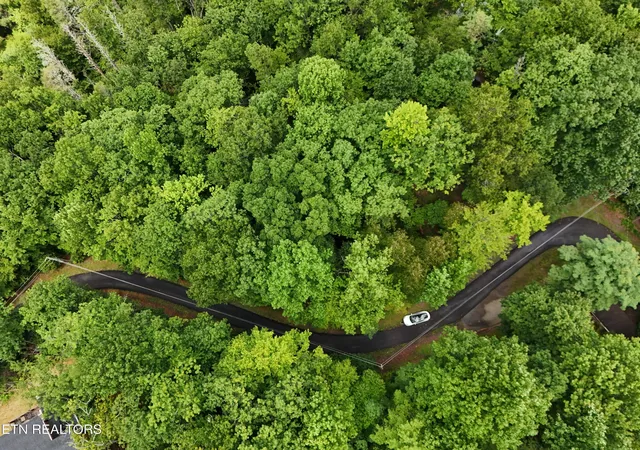 1st image of 920 Black Gum Gap Rd, Gatlinburg, TN 37738 | MLS# 1352647