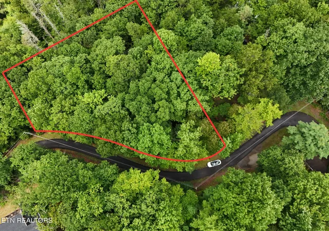 2nd image of 920 Black Gum Gap Rd, Gatlinburg, TN 37738 | MLS# 1352647