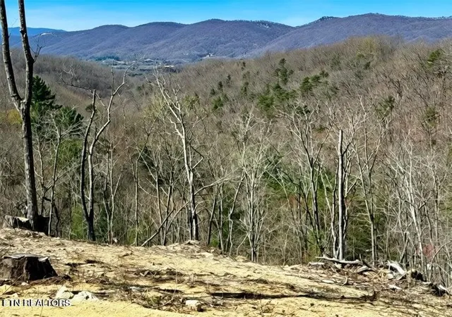 Photo 2 of Land for sale at Demory Rd, La Follette, TN 37766 | MLS# 1353265 | Listing updated on 2026-08-28