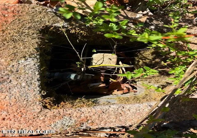 Photo 3 of Land for sale at Demory Rd, La Follette, TN 37766 | MLS# 1353265 | Listing updated on 2026-08-28