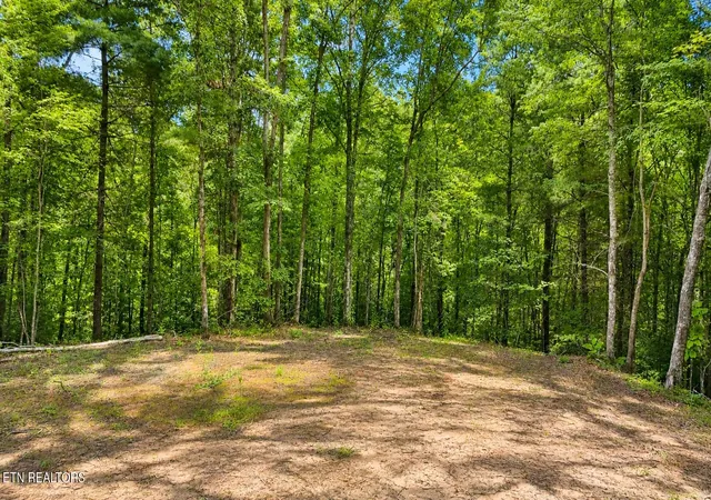 Photo 1 of Land for sale at 0 Wilderness Tr, Oneida, TN 37841 | MLS# 1352424 | Listing updated on 2026-09-02