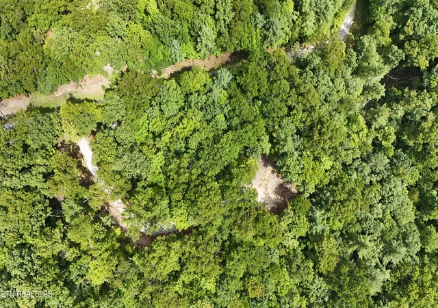Photo 3 of Land for sale at 0 Wilderness Tr, Oneida, TN 37841 | MLS# 1352424 | Listing updated on 2026-09-02