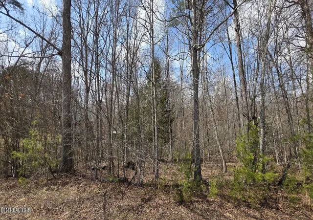 4th image of 7 Cumberland Lakes Dr, Monterey, TN 38574 | MLS# 1352777