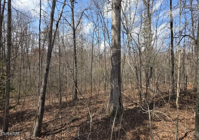 5th image of 7 Cumberland Lakes Dr, Monterey, TN 38574 | MLS# 1352777