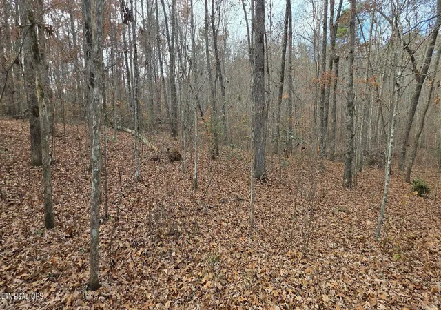 14th image of 25 Down Pl, Monterey, TN 38574 | MLS# 1352682