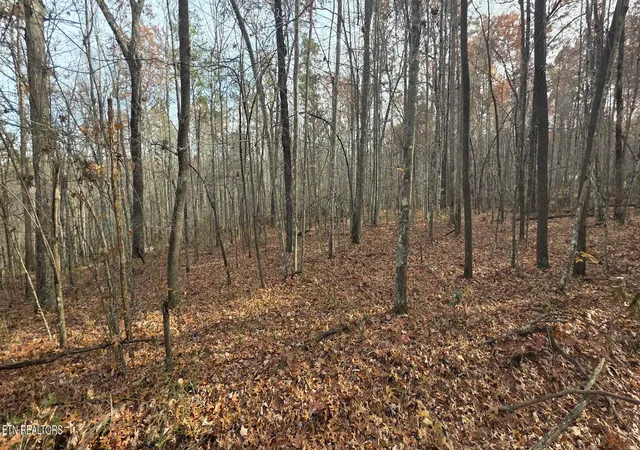 1st image of 25 Down Pl, Monterey, TN 38574 | MLS# 1352682