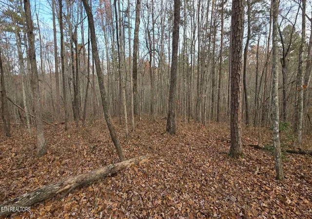 Photo 3 of Sale Pending at 25 Down Pl, Monterey, TN 38574 | MLS# 1352682 | Listing updated on 2026-09-15