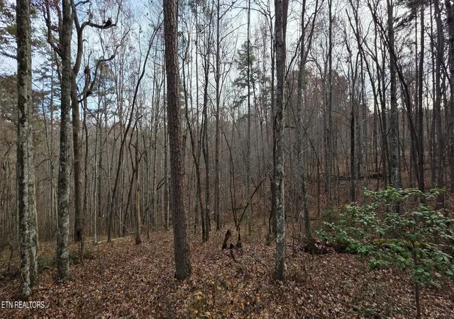 Photo 4 of Land for sale at 25 Down Pl, Monterey, TN 38574 | MLS# 1352682 | Listing updated on 2026-09-27