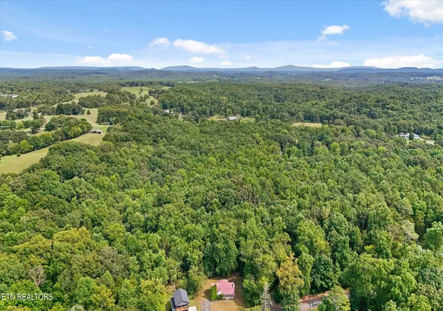 47th image of 14319 Bluffview Dr, Birchwood, TN 37308 | MLS# 1352642