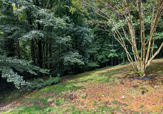 48th image of 1829 Chicadee Dr, Knoxville, TN 37919 | MLS# 1352779