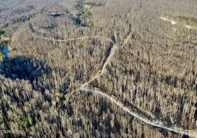Photo 3 of Sale Pending at Lot#7 Mill Crk Rd #026 009.19, Sunbright, TN 37872 | MLS# 1353840 | Listing updated on 2026-09-30