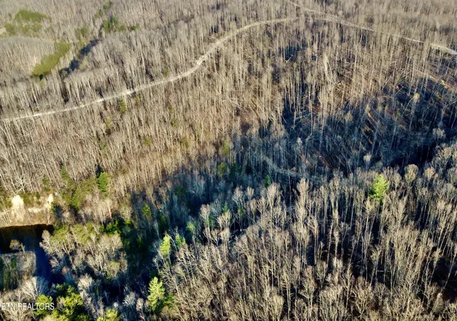 Photo 3 of Sale Pending at Lot#7 Mill Crk Rd #026 009.19, Sunbright, TN 37872 | MLS# 1353840 | Listing updated on 2026-09-30