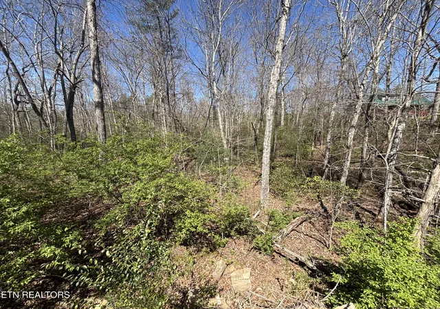 1st image of 5054 Chinook Ln, Crossville, TN 38572 | MLS# 1352629