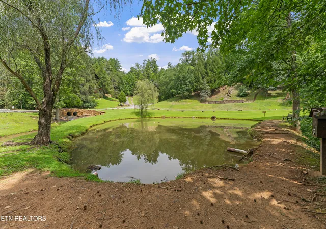 54th image of 2706 Owls Cove Wy, Sevierville, TN 37862 | MLS# 1352824