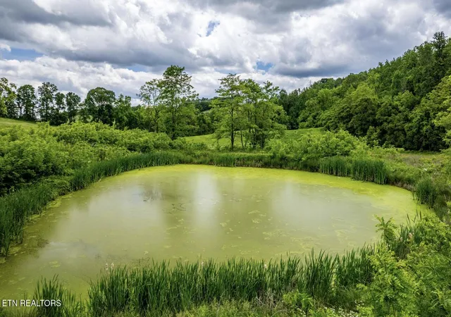 Photo 2 of Land for sale at Greenlee Rd, Rutledge, TN 37861 | MLS# 1352671 | Listing updated on 2026-09-28