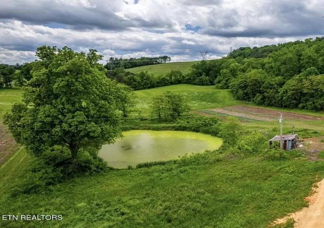Photo 4 of Land for sale at Greenlee Rd, Rutledge, TN 37861 | MLS# 1352671 | Listing updated on 2026-09-28