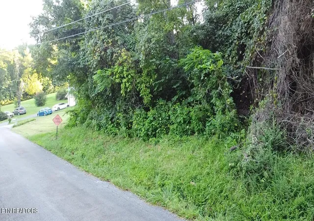 Photo 3 of Land for sale at City View Dr, Newport, TN 37821 | MLS# 1353404 | Listing updated on 2026-08-27