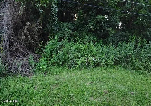 Photo 3 of Land for sale at City View Dr, Newport, TN 37821 | MLS# 1353404 | Listing updated on 2026-08-27