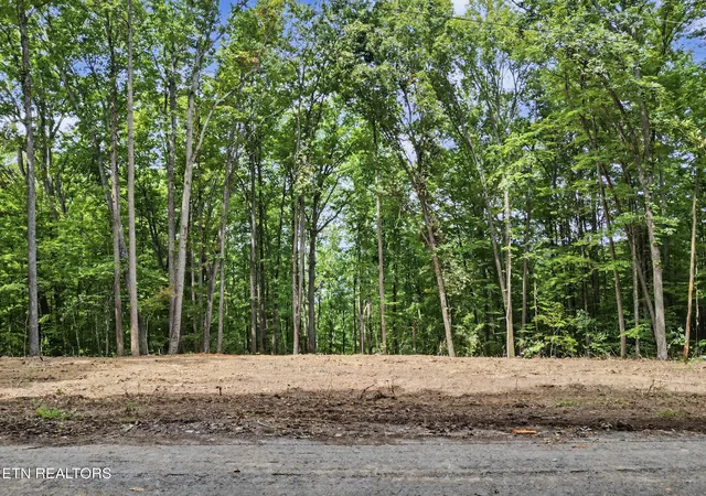 Photo 3 of Sale Pending at Tumbling Run Estates, Maynardville, TN 37807 | MLS# 1353379 | Listing updated on 2026-09-04