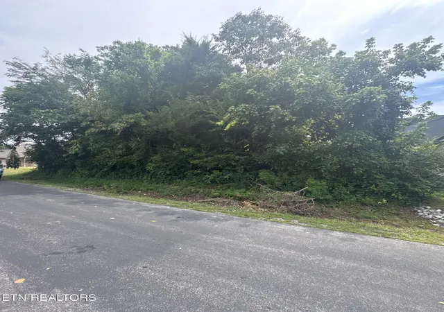 1st image of 143 Daleyuhski Wy, Loudon, TN 37774 | MLS# 1352619