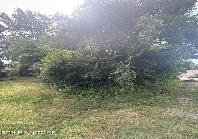 2nd image of 143 Daleyuhski Wy, Loudon, TN 37774 | MLS# 1352619