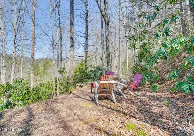 24th image of 108 Province Dr, Townsend, TN 37882 | MLS# 1352657