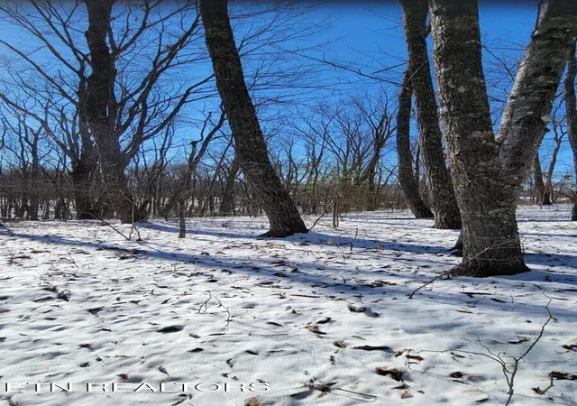 27th image of 313 Green Ridge Pl, Harriman, TN 37748 | MLS# 1352637