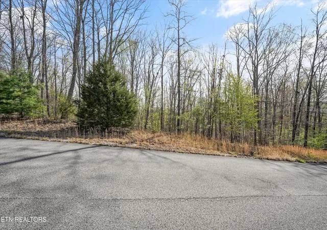 3rd image of 313 Green Ridge Pl, Harriman, TN 37748 | MLS# 1352637