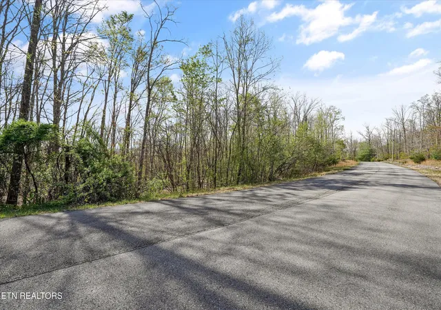 4th image of 313 Green Ridge Pl, Harriman, TN 37748 | MLS# 1352637