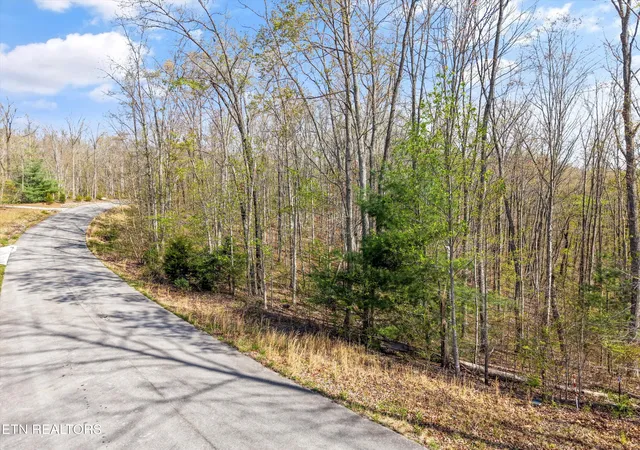 5th image of 313 Green Ridge Pl, Harriman, TN 37748 | MLS# 1352637