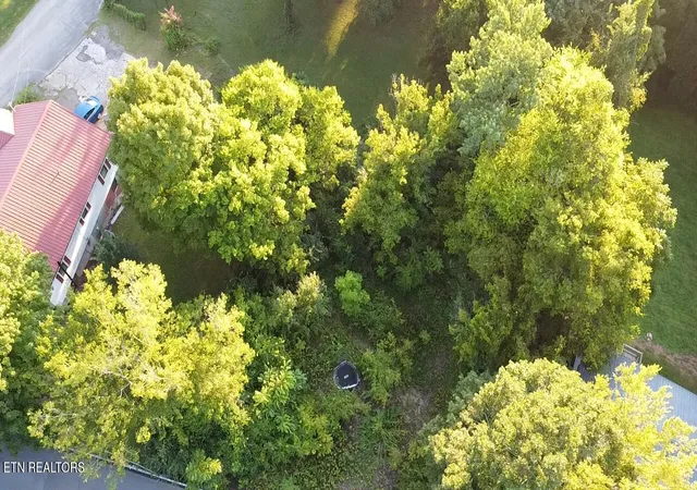 Photo 1 of Land for sale at 141 Blazer St, Newport, TN 37821 | MLS# 1353405 | Listing updated on 2026-08-27