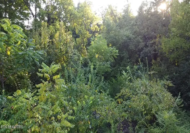 Photo 2 of Land for sale at 141 Blazer St, Newport, TN 37821 | MLS# 1353405 | Listing updated on 2026-08-27