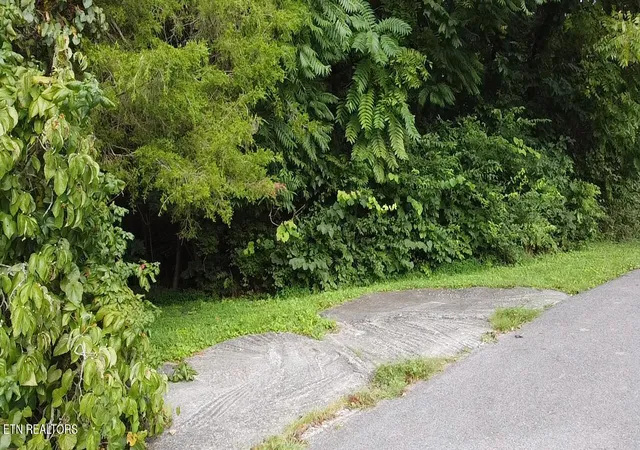 Photo 3 of Land for sale at Cliffwood Dr #23, Newport, TN 37821 | MLS# 1353406 | Listing updated on 2026-08-27