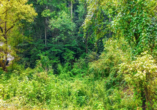 16th image of Chavis Rd, Cosby, TN 37722 | MLS# 1352785