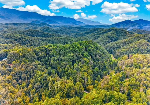 4th image of Chavis Rd, Cosby, TN 37722 | MLS# 1352785