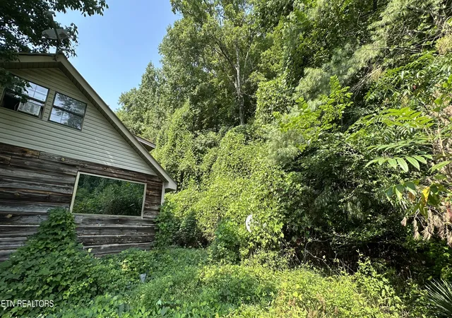 Photo 3 of Single family home for sale at 419 Ashe Cabin Hollow Rd, Harriman, TN 37748 | MLS# 1353079 | Listing updated on 2026-09-13