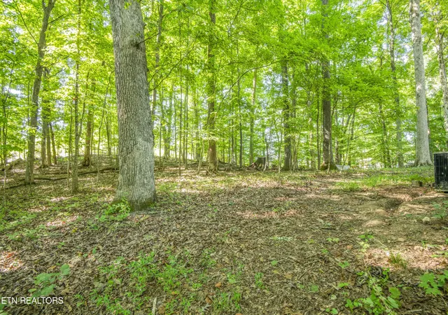 42nd image of 550 Shady Ln, Kingston, TN 37763 | MLS# 1352851