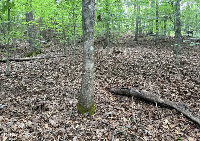 Photo 2 of Land for sale at Lot 128 Islandview Pt, Sharps Chapel, TN 37866 | MLS# 1352986 | Listing updated on 2026-08-25