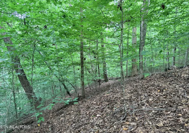 Photo 3 of Land for sale at Lot 128 Islandview Pt, Sharps Chapel, TN 37866 | MLS# 1352986 | Listing updated on 2026-08-25