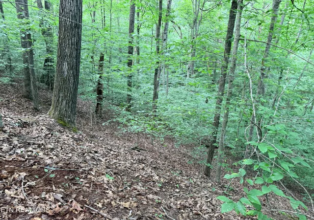 Photo 3 of Land for sale at Lot 128 Islandview Pt, Sharps Chapel, TN 37866 | MLS# 1352986 | Listing updated on 2026-08-25