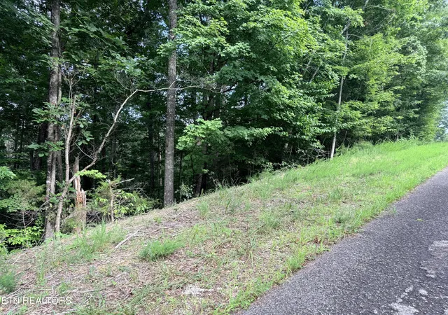 Photo 4 of Land for sale at Lot 128 Islandview Pt, Sharps Chapel, TN 37866 | MLS# 1352986 | Listing updated on 2026-08-25