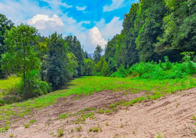 Photo 3 of Land for sale at Jones Cove Rd, Sevierville, TN 37876 | MLS# 1352968 | Listing updated on 2026-10-20